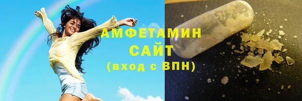 СК Алексин