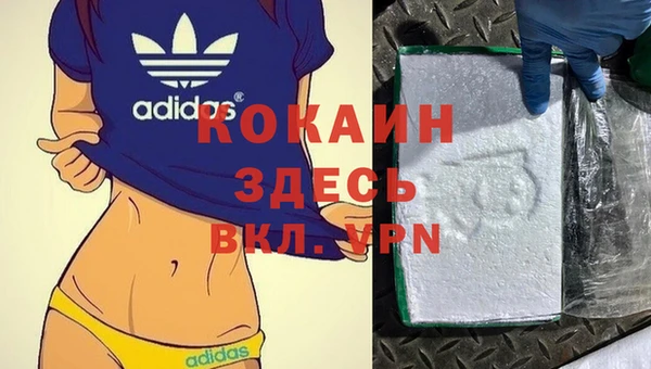 СК Алексин