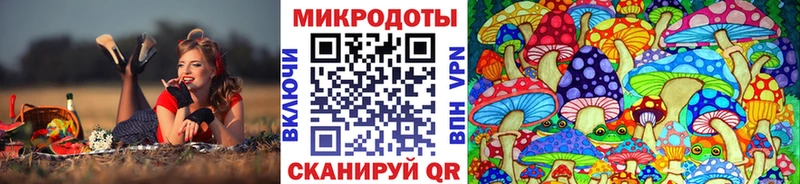гидра ссылки  дарнет шоп  Сольвычегодск  Псилоцибиновые грибы MAGIC MUSHROOMS 